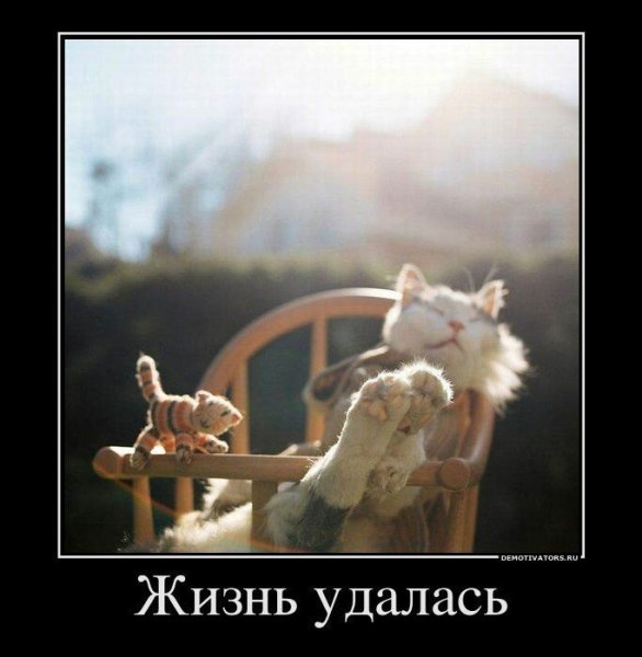 Позитивные демотиваторы