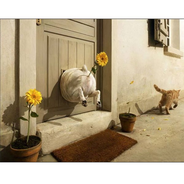 Приколы со смыслом