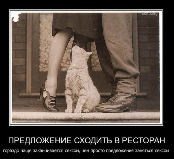 Интересный юмор со смыслом