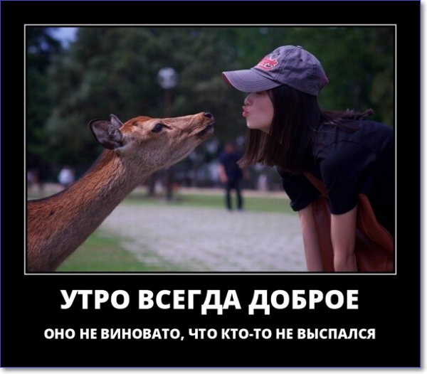 Прикольные демотиваторы со смыслом