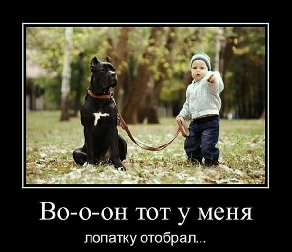 Демотиваторы со смыслом