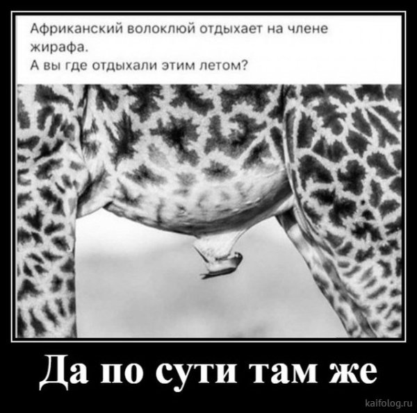 Картинки со смыслом смешные