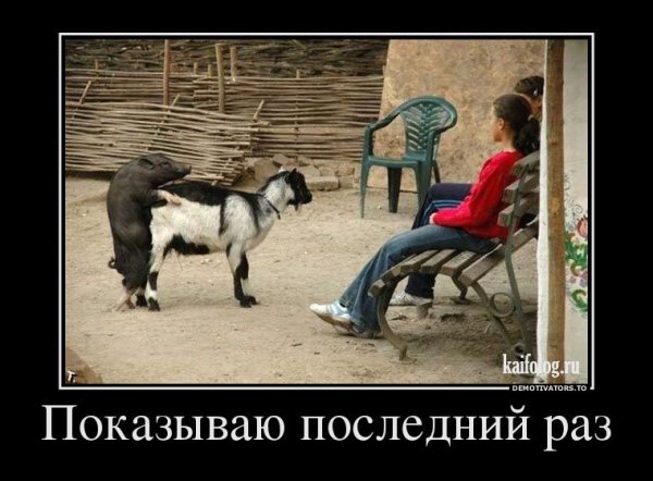 Демотиваторы приколы со смыслом
