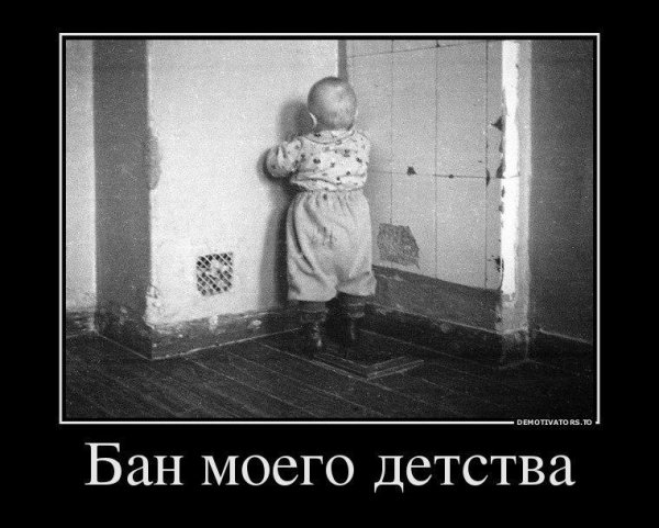 Демотиватор птицы