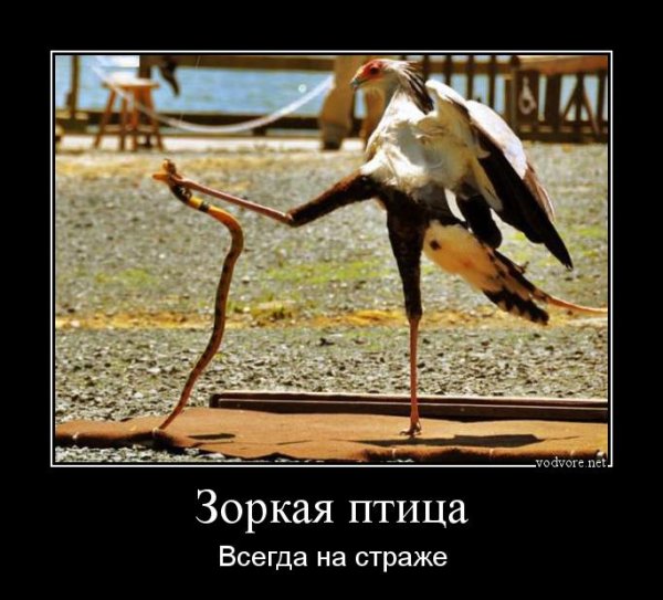 Демотиваторы про допинг