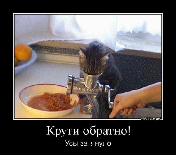 Демотиваторы ржачные