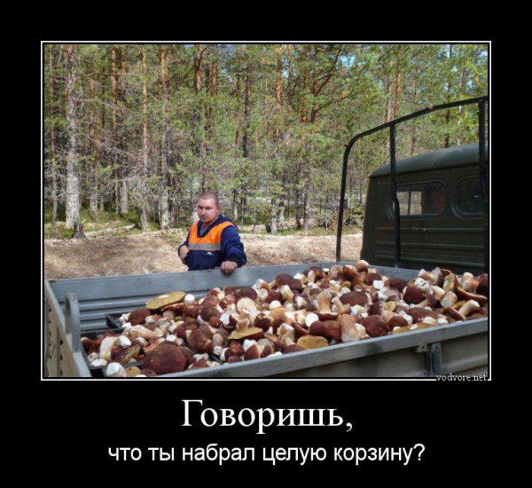 Кардан демотиватор