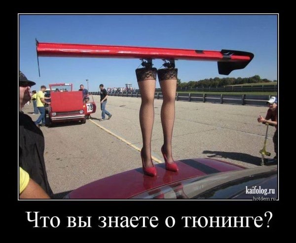 Белочка пришла прикол
