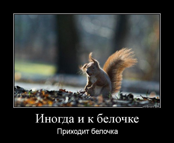 Вечеринка демотиватор