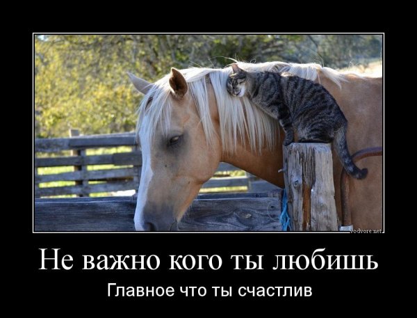 Демотиваторы про девушек