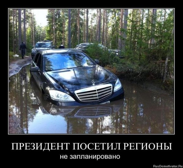 Приколы про дачу