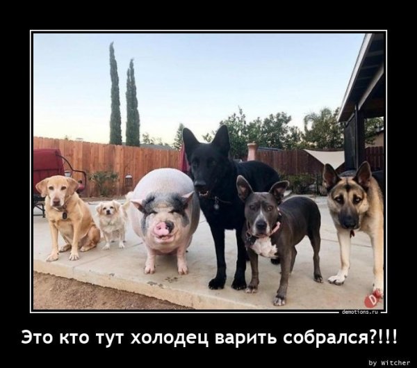 Деревенский юмор