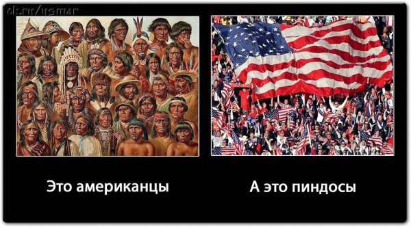 Тупой пиндос