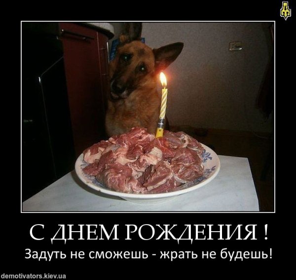 Демотеваторыс днем рождения