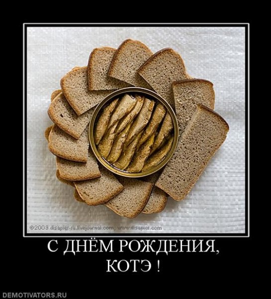 Демотеваторыс днем рождения