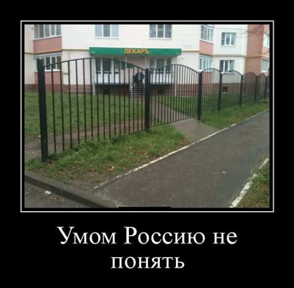 Умом Россию не понять