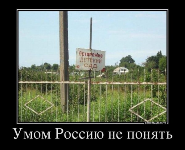 Умом Россию не понять прикольное