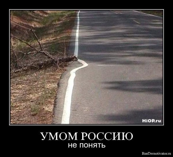 Умом Россию не понять