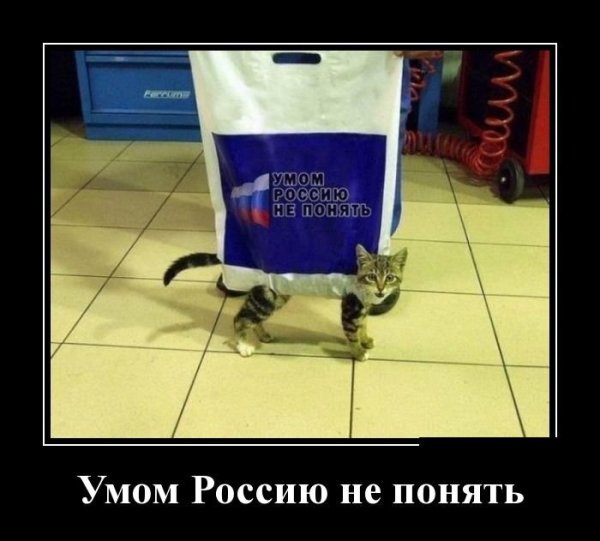 Умом Россию не понять демотиваторы