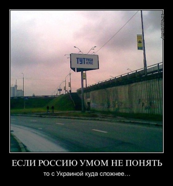 Умом Россию не понять картинки прикольные