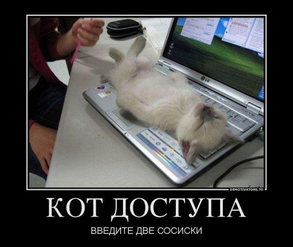 Коза демотиватор