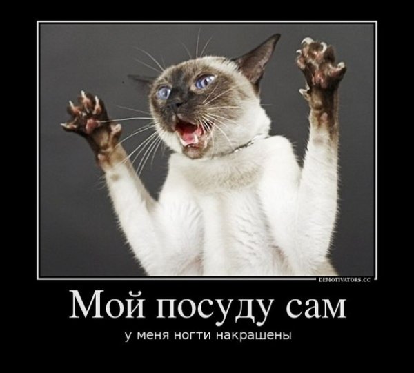 Пришла с работы смешные