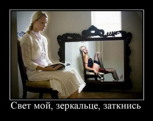 Наглые коты демотиваторы