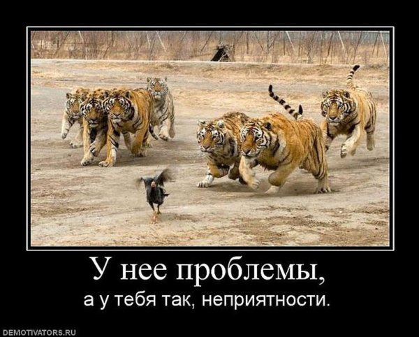 Ютуб демотиваторы