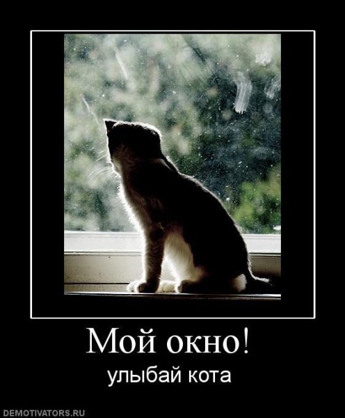 Невеста демотиваторы