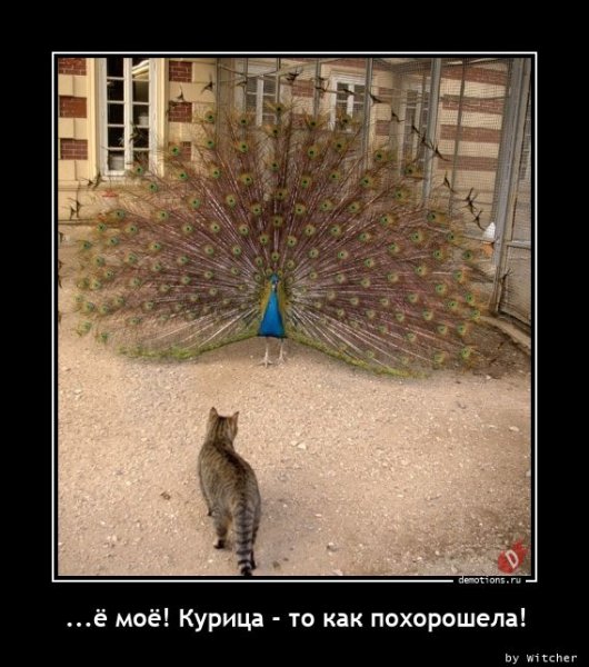 Ты мой друг