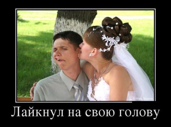 Мой хозяин идиот