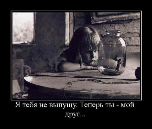 Демотиваторы помеха справа