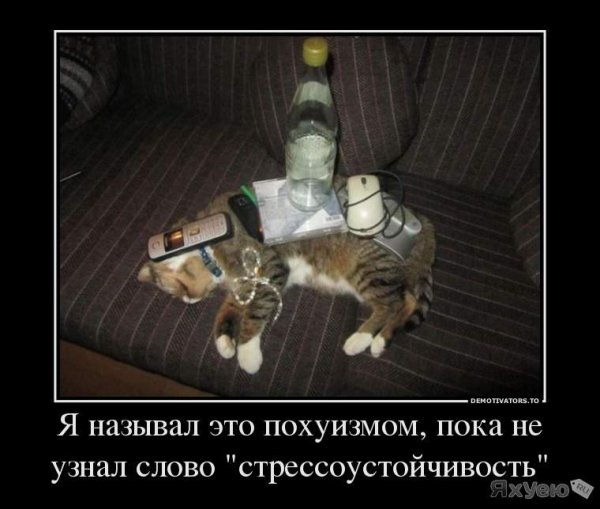 Девушки и авто демотиватор