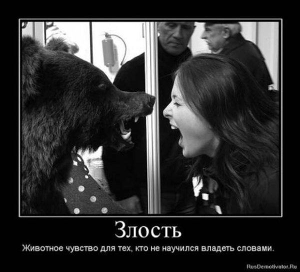 Демотиваторы злые