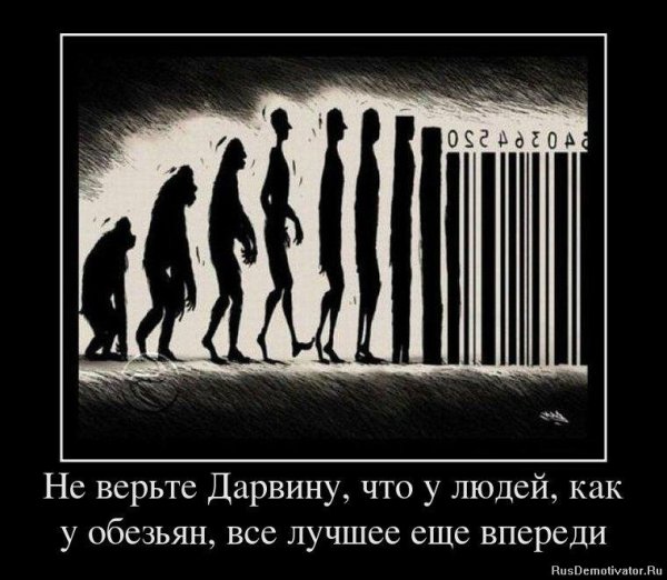 Нафиг общество
