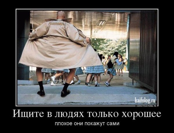 Путин и Медведев демотиваторы