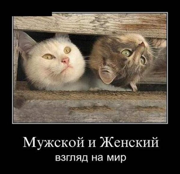 Прикольные демотиваторы