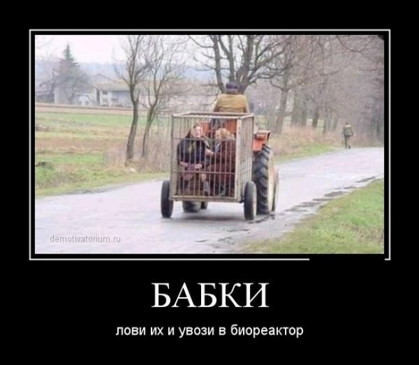 Крутятся бешеные бабки