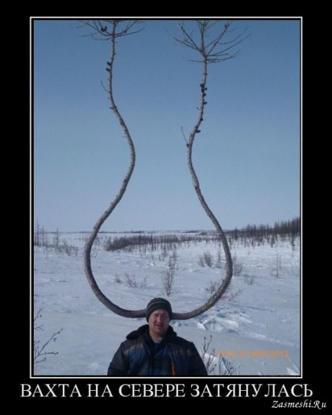 Вахта демотиваторы