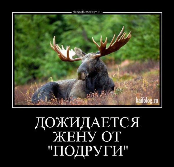 Шутки про измену