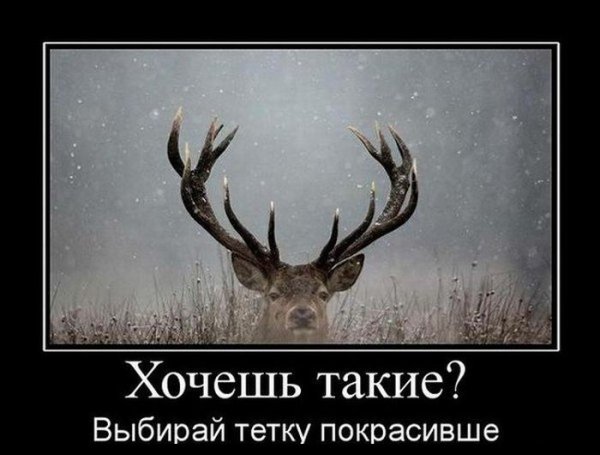 Олень демотиватор