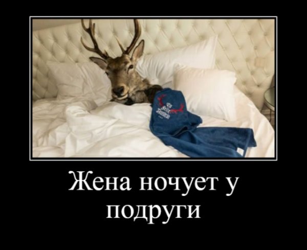 Серьезные отношения демотиватор