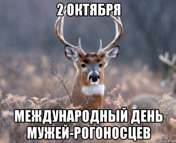 Статусы про Рогоносцев