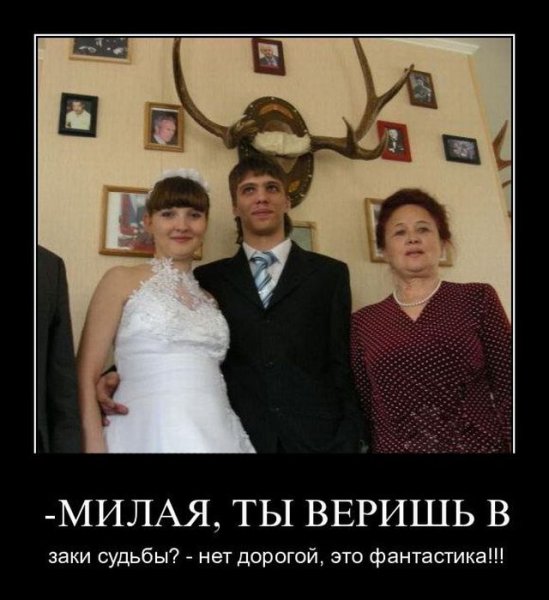 Хороший фотограф демотиватор