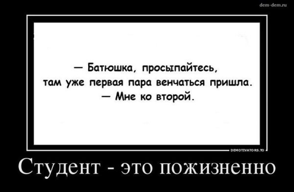 Прикольные цитаты про студентов