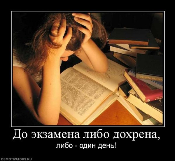 Приколы про экзамены