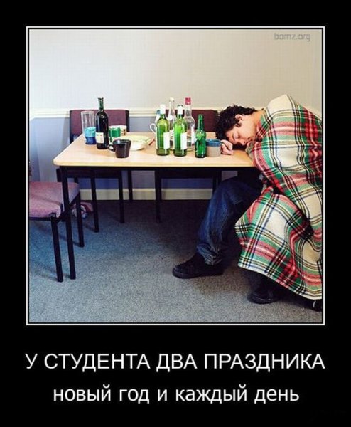 Приколы про студентов