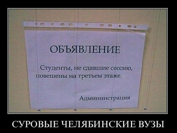Смешные картинки про студентов