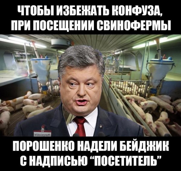 Порошенко приколы