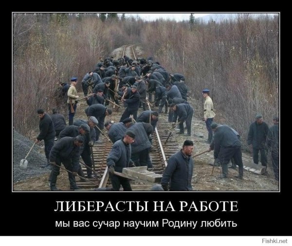 Демотиваторы против либералов